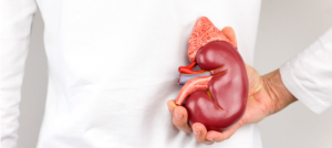 ما أعراض أمراض الكلى المزمنة؟ وما طرق علاجها؟