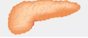 بنكرياس  Pancreas .........  ما هو بنكرياس ......؟؟؟