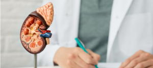 كيف يتم تشخيص أورام الكلى؟     وكيف يتم علاجها؟