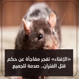 الافتاء .. تفجر مفاجأة عن حكم قتل الفئران .. صدمة للجميع