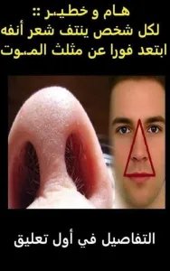 هام وخطير لكل من ينتف شعر أنفة ابتعدوا عن مثلث الموت .....