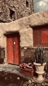 خادمه القصر