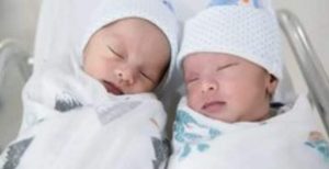 الاخصائيات