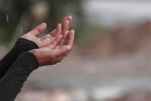 رواية من يطرق باب القلب ❤?كاملة ? جميع الفصول ?(من الفصل الأول إلى الأخير) كاملة ستعجبكم