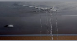 عروسين : إشتـ، رو منزل جديد فوجــ،دو هذا السـ، ا ئل في السقف