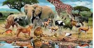 هل تعرف المادة التي خلق الله منها الحيوان والتي ذكرت في القرآن؟