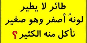 من هو الأكثر غـباء هنا – الذي تختاره يخبرك شيئا عن شخصيتك