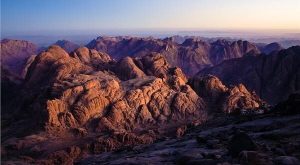 ليســــ..ـــت «العربية» .. بأي لــــ..ـــغة كــــ..ـــلم الله نبيه موسى؟