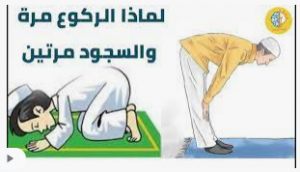 لماذا أمرنا الرسول بالدعاء في السجود وليس الركوع ولماذا جعل الله السجود مرتين والركوع مرة