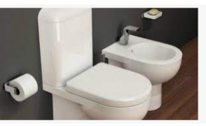 حمامات أوروبا بدون شطاف؟