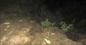 رواية ام البنات الجزء الأول