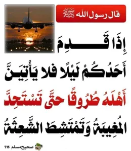 لا يطرق اهله ليلا