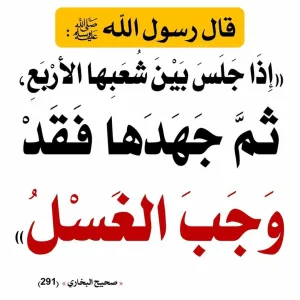 شرح إذا جلس بين شعبها الاربع ثم جهدها فقد وجب الغسل