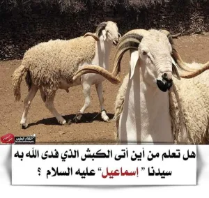من أين جاء الكبش الذي فدى الله به إسماعيل