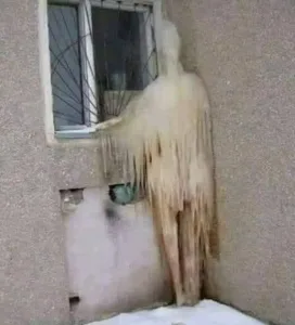 الطفلة والمنور