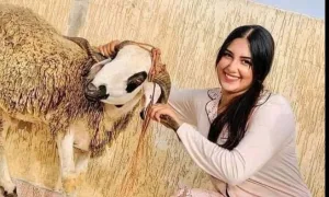 قصة واحد متجوز اثنين كاملة