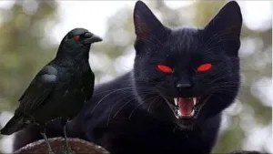 روايه إياك تفكر تتجوز على مراتك حتى لو ماتت  _ كامله