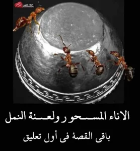 الاناء المسحور ولعنة النمل