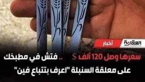 تخيل ملعقة واحدة تغير حياتك 360 درجة.. ملاعق وشوك السنابل