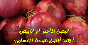 البصل الأحمر أم الأبيض.. أيهما أفضل لصحة الإنسان؟