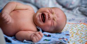 أين أبني جميع الفصول كامله