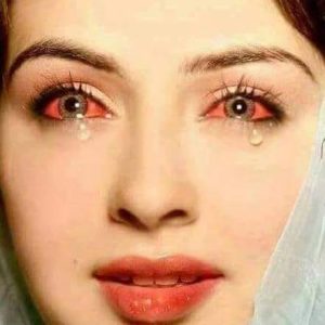 المربية  جميع الفصول كامله