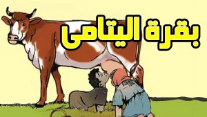 بقرة اليتامى جميع الفصول كامله