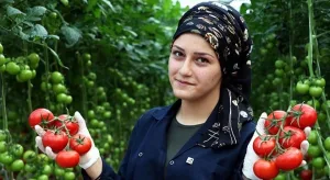 زوجه المزارع جميع الفصول كامله من الأول إلي الأخير