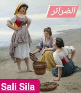 رواية الضرائر الثلاثة (كامله جميع الفصول)