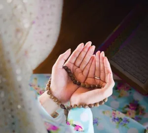 بنت الأصول جميع الفصول كامله جميع الفصول من الأول الى الأخير