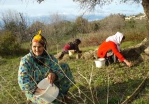 أهل جوزي فلاحين