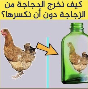 كيف نخرج الدجاجه من الزجاجه