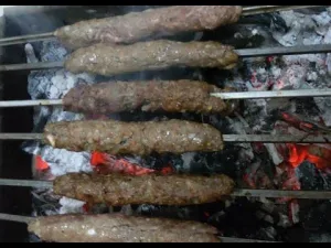 عريسي ن،ضيف