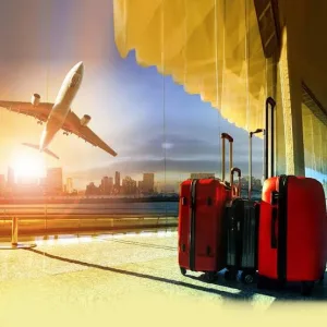 الطبيبة والمحامي