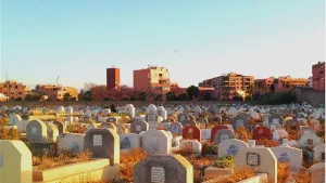 قصة تقشعر لها الابدان بائع الموتي كاملة