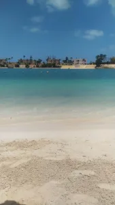 عوض ربنا وكرمه