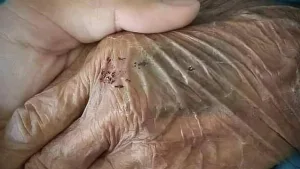 يقدر فضل أمه في حياته لن يجد من تقدر حياته