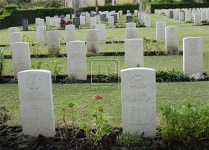 هل وجود ثعبان في قبر يدل على سوء خاتمة صاحبه؟