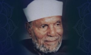 كيف دافع المصريون عن الشيخ الشعراوي