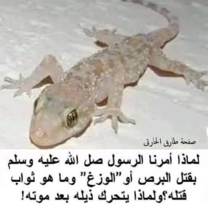 لماذا أمرنا النبي بقــتل البرص