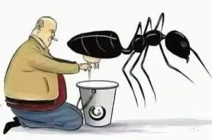 التغافل الذكي كامله