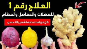 الغذاء الأول لزيادة قوة العضلات