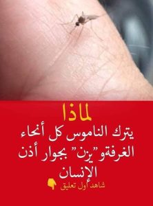 لماذا يترك الناموس كل أنحاء الغرفة.. و”يزن