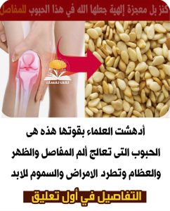 أدهـ.ـشت العلماء بـ.ـقـ.ـوتها