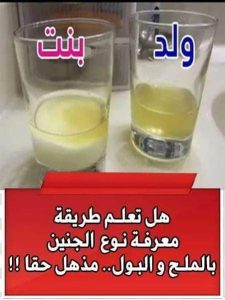 نوع الجنين