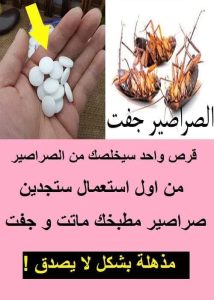 اتخلص من الصراصير