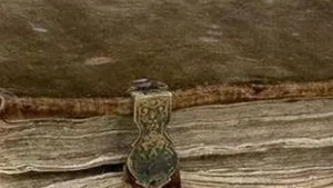 ما المقصود بقوله تعالى ولقد كتبنا فى الزبور من بعد الذكر أن الأرض يرثها عبادى الصالحون