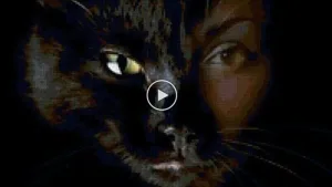 رواية لو مراتك ما0تت اياك تتجوز عليها (كاملة حتي الفصل الاخير) بقلم اسماعيل موسي