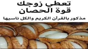 تعطي زوجك قوة الحصان مذكورة بالقرآن الكل ناسيها.. شاهد