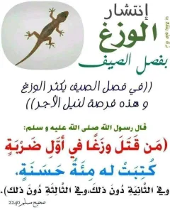 من قتل وزغة في أول ضربة فله كذا وكذا حسنة ومن قتلها في